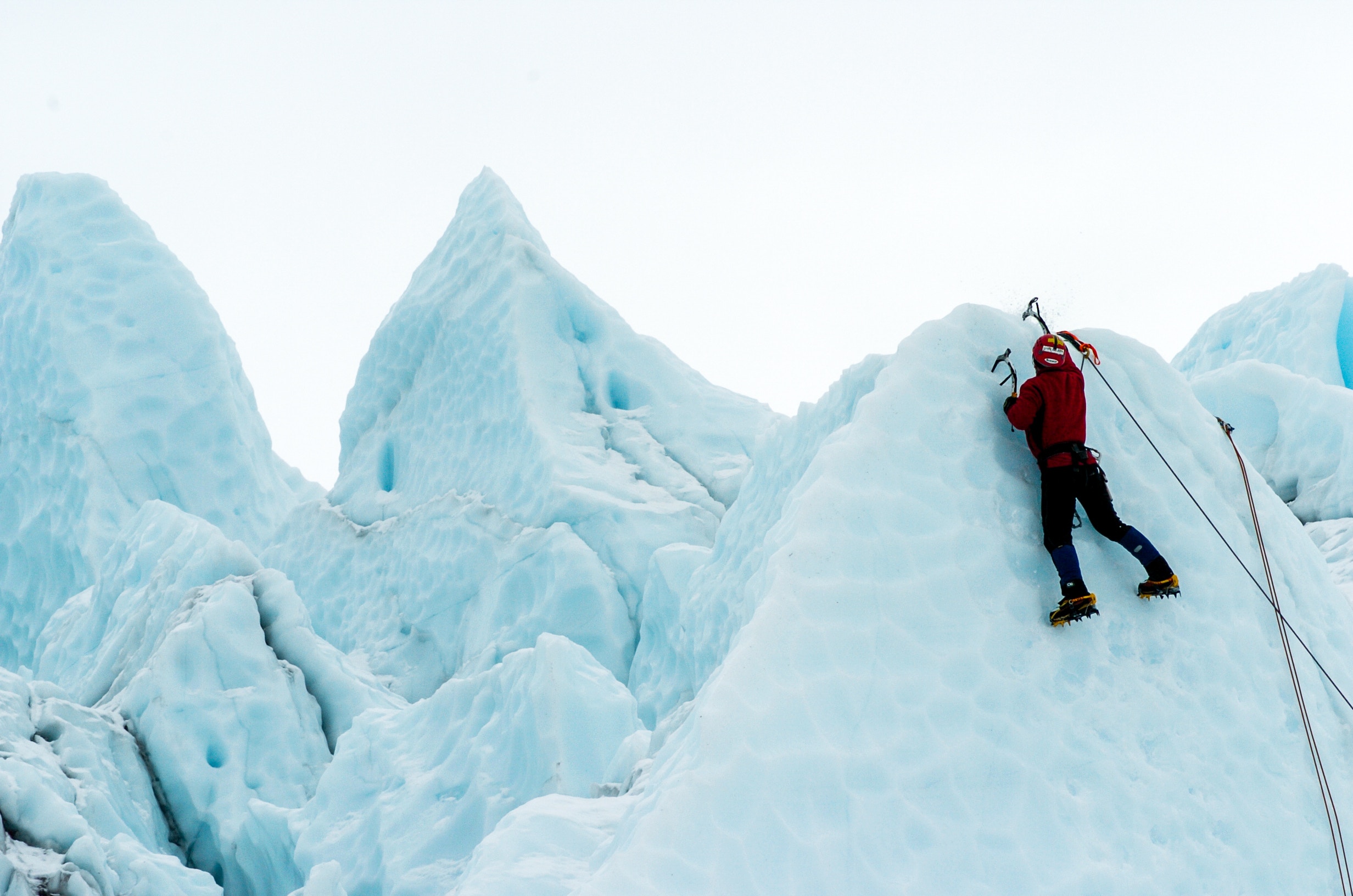 Adapt or Fail: The Harsh Lessons of Achieving Your Goals