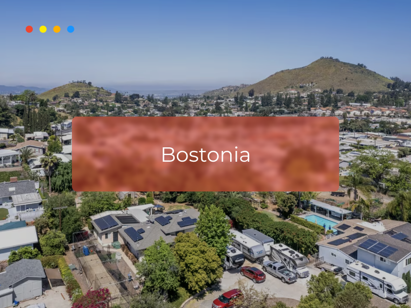 web design bostonia